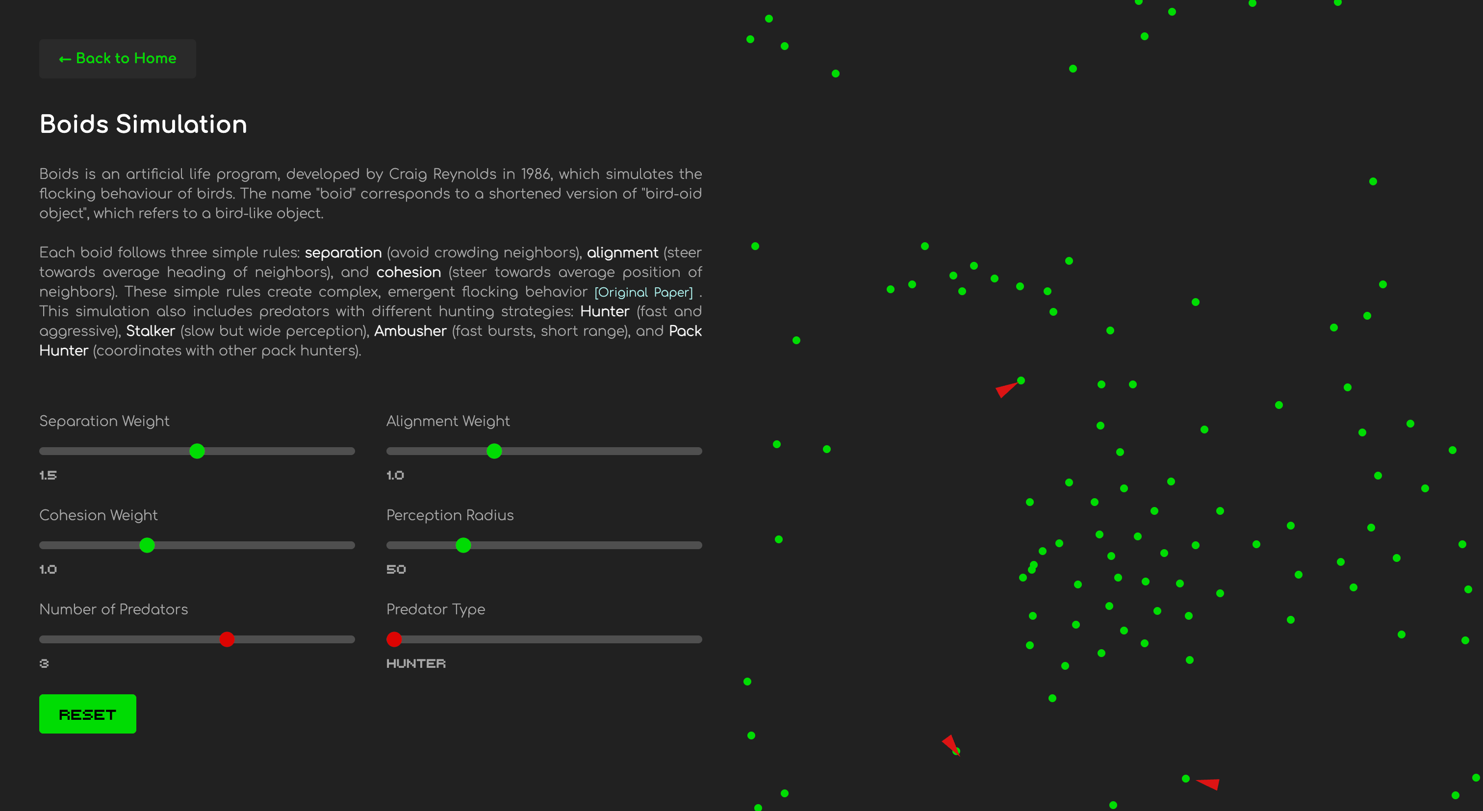 Boids Simulation Preview